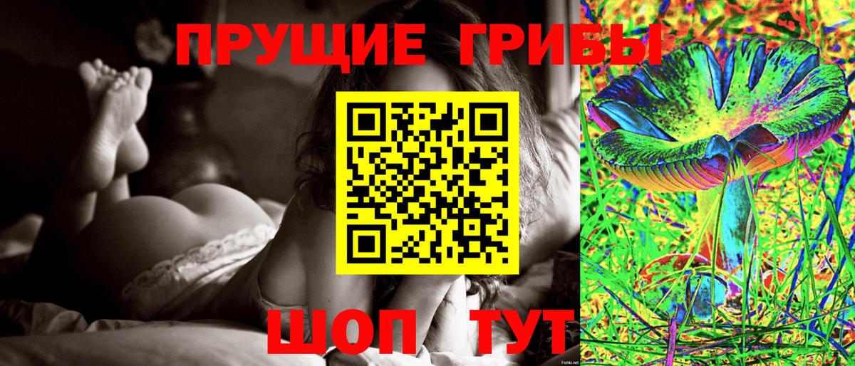 Псилоцибиновые грибы Cubensis Качканар