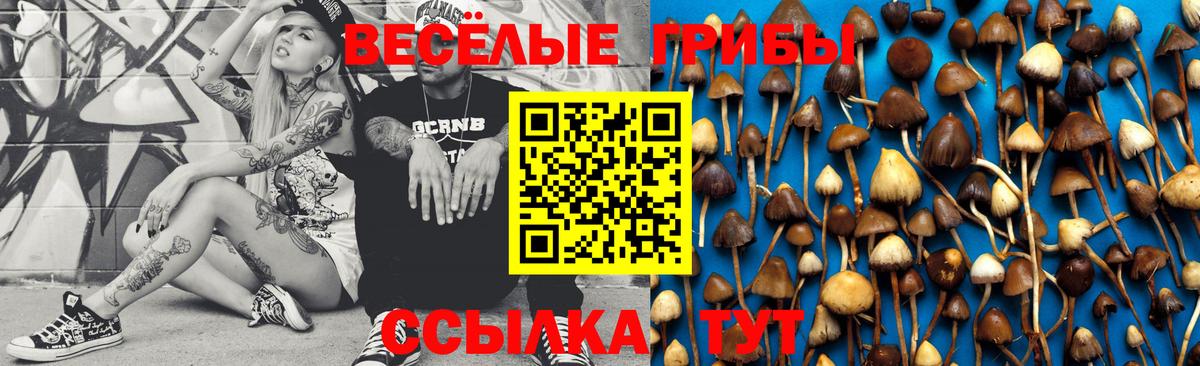 Качканар  Псилоцибиновые грибы Magic Shrooms  Псилоцибиновые грибы мухоморы  Вход с VPN 